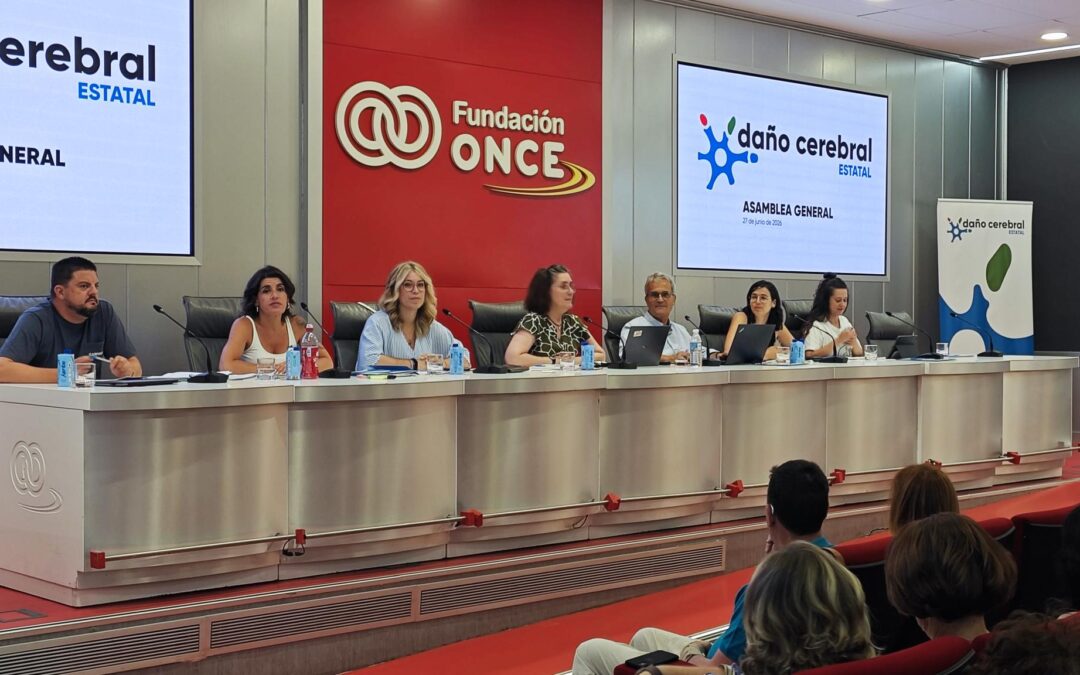 Daño Cerebral Estatal aprueba su hoja de ruta para 2026 y renueva parcialmente su Junta Directiva